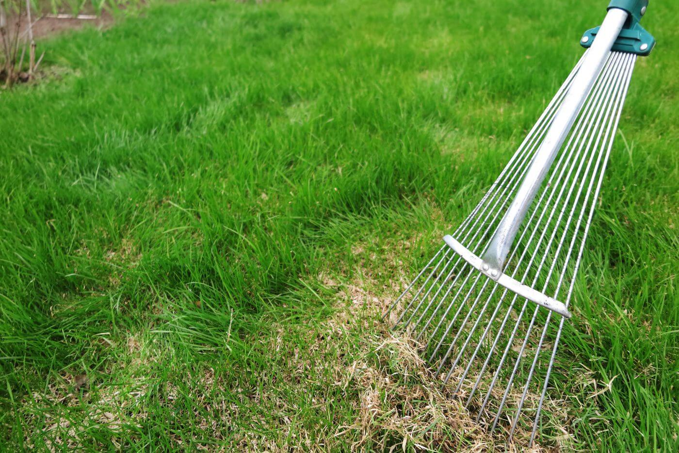 Winter Lawn Care to Remove Pests and Prepare for the Spring