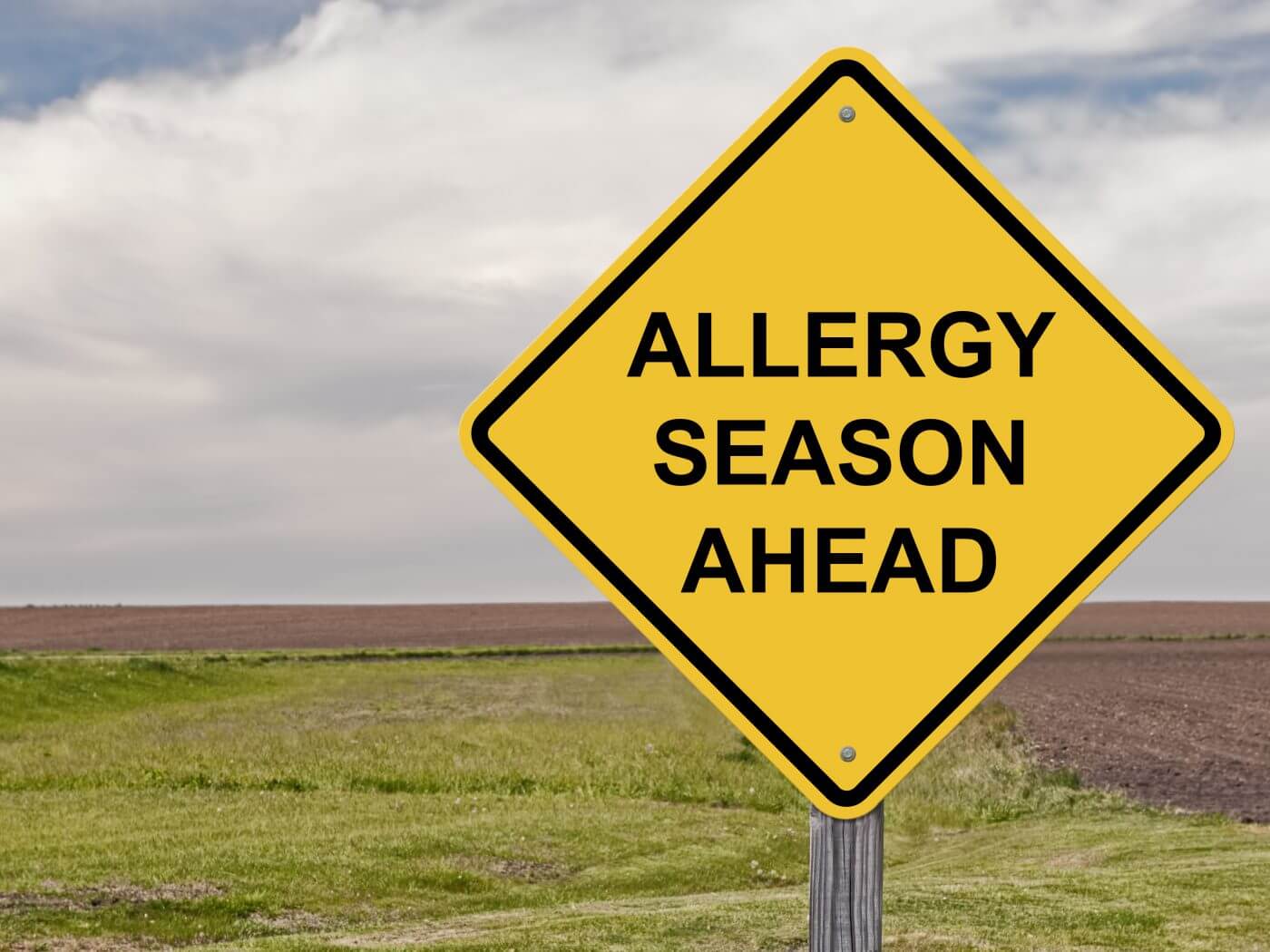 Pests and Spring Allergies
