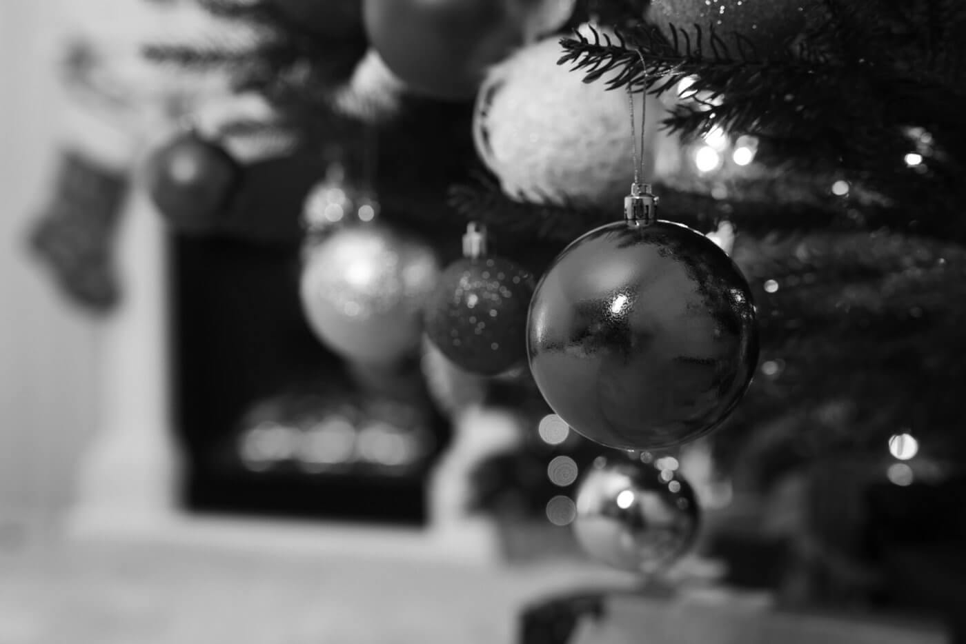 Prevent Common Christmas Tree Pests