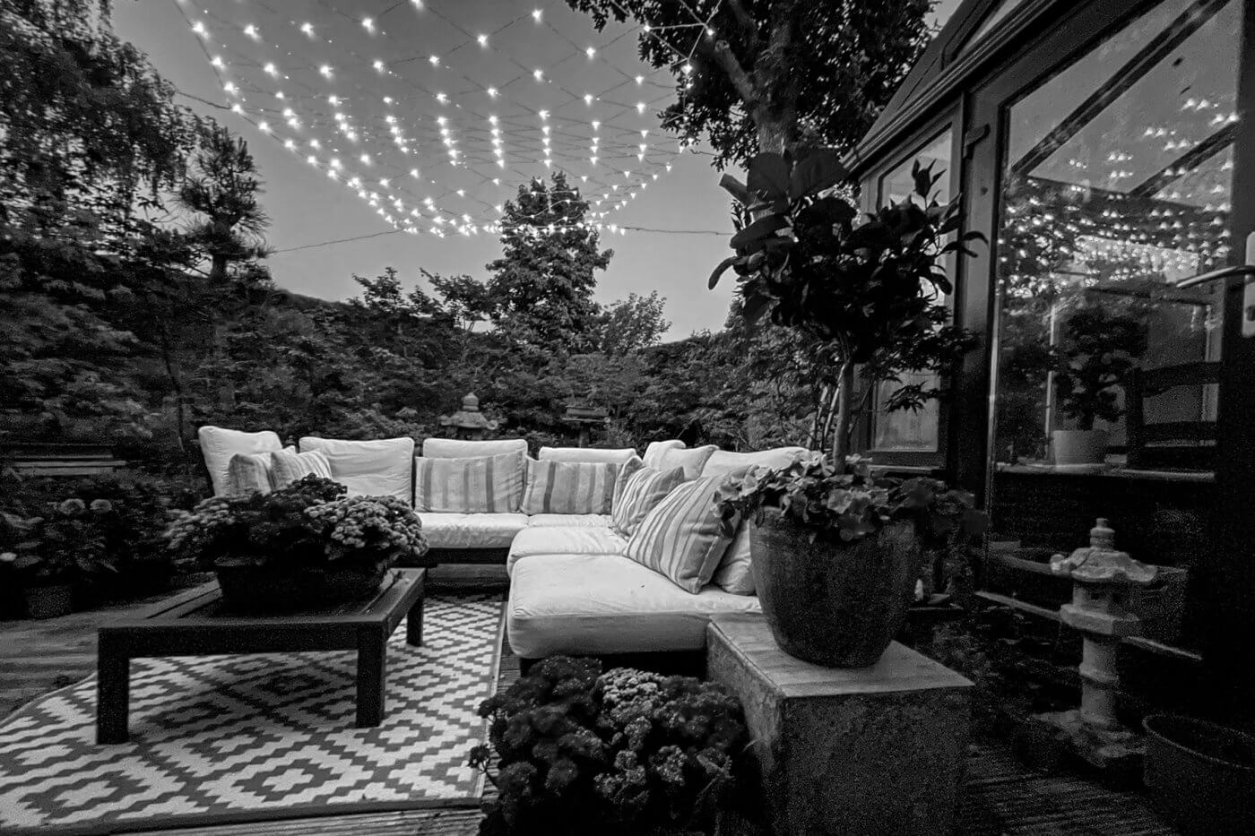 Your Guide to a Pest-Free Patio
